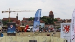 Wyścigi psich sztafet już za nami [FOTO]  - zdjęcie 4